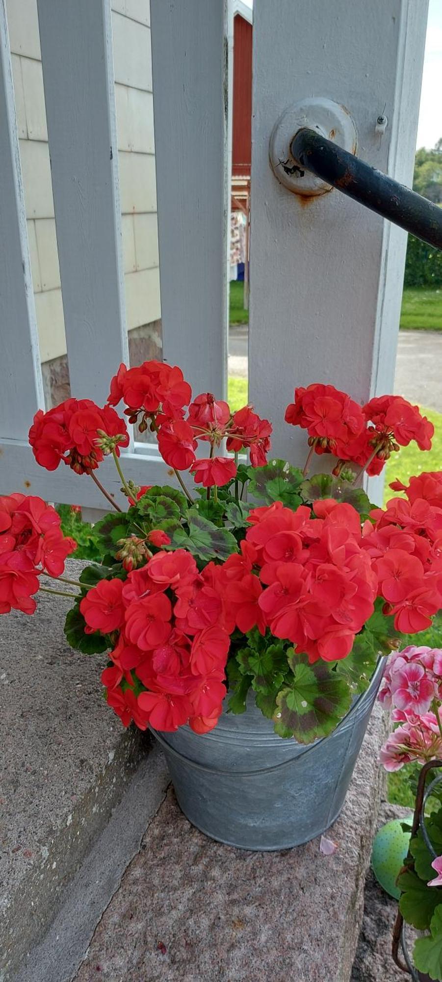 Pilane B&B Langekarr Kültér fotó